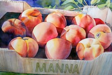 Peach Box Manna